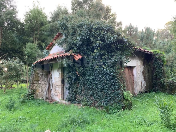 Terreno para Venda em Caminha (Matriz) e Vilarelho Foto 2