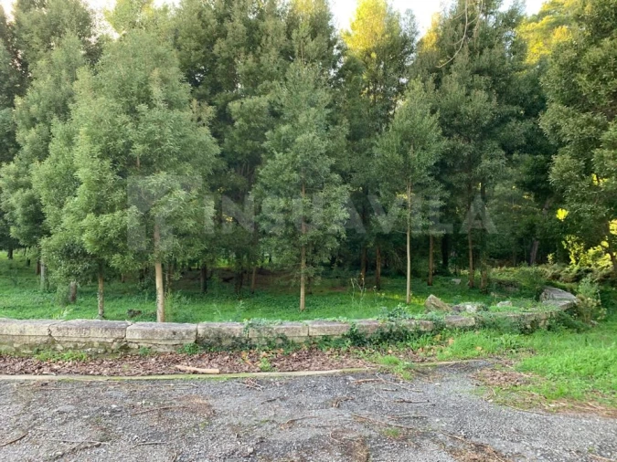 Terreno para Venda em Caminha (Matriz) e Vilarelho Foto 7
