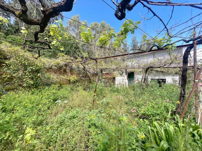 Moradia T3 para Venda em Caminha (Matriz) e Vilarelho Foto 24