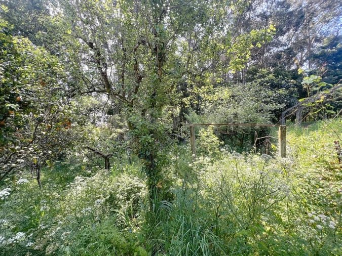 Moradia T3 para Venda em Caminha (Matriz) e Vilarelho Foto 27