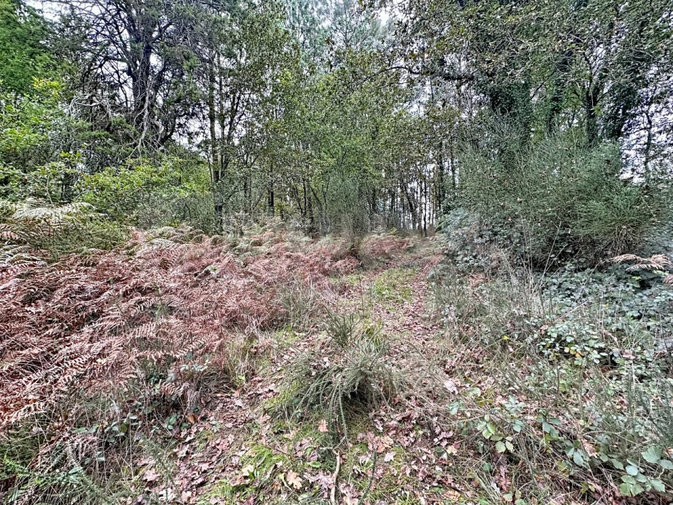 Terreno para Venda em Ganfei Foto 7