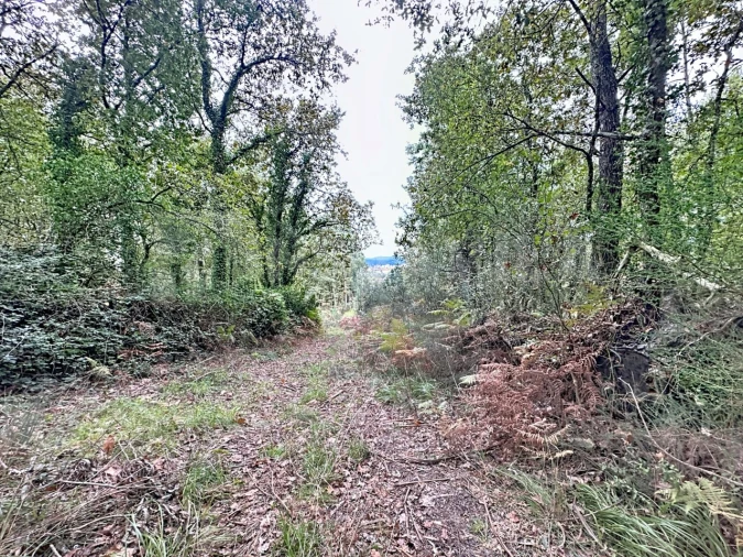 Terreno para Venda em Ganfei Foto 2