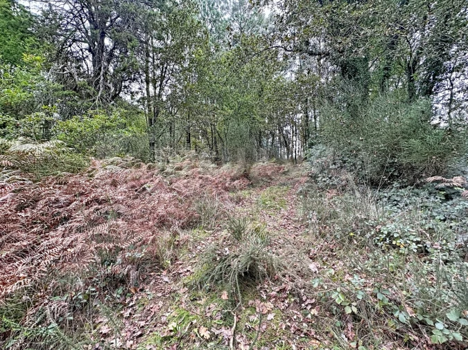 Terreno para Venda em Ganfei Foto 3