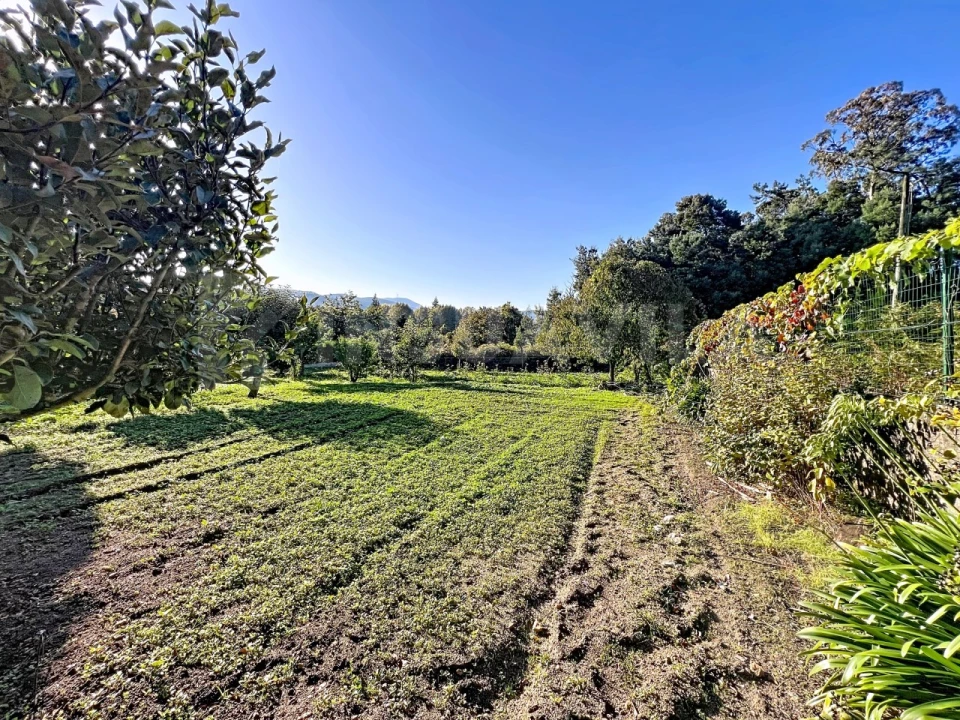 Moradia T4 para Venda em Vilar de Mouros Foto 28