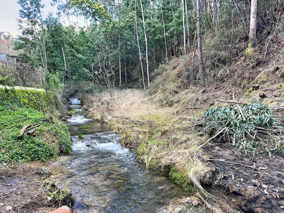 Terreno para Venda em Argela Foto 2