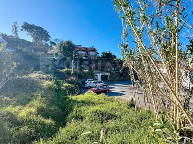 Terreno para Venda em Seixas Foto 7