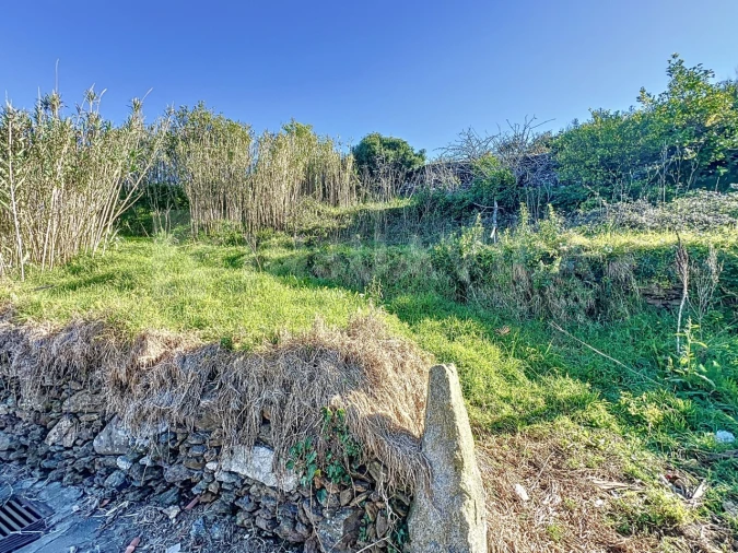 Terreno para Venda em Seixas Foto 8