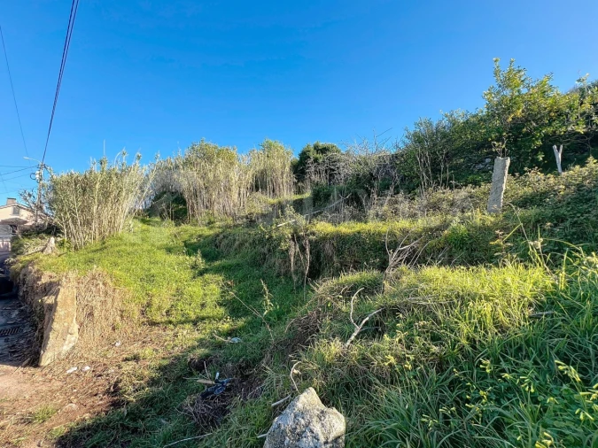 Terreno para Venda em Seixas Foto 9