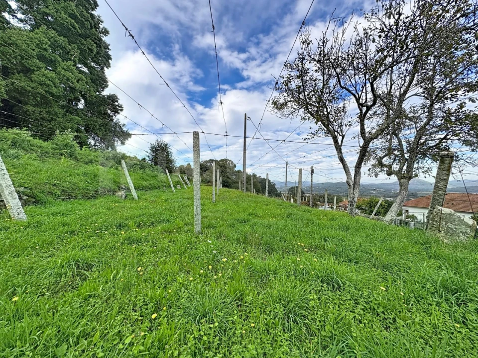 Terreno para Venda em Venade e Azevedo Foto 5