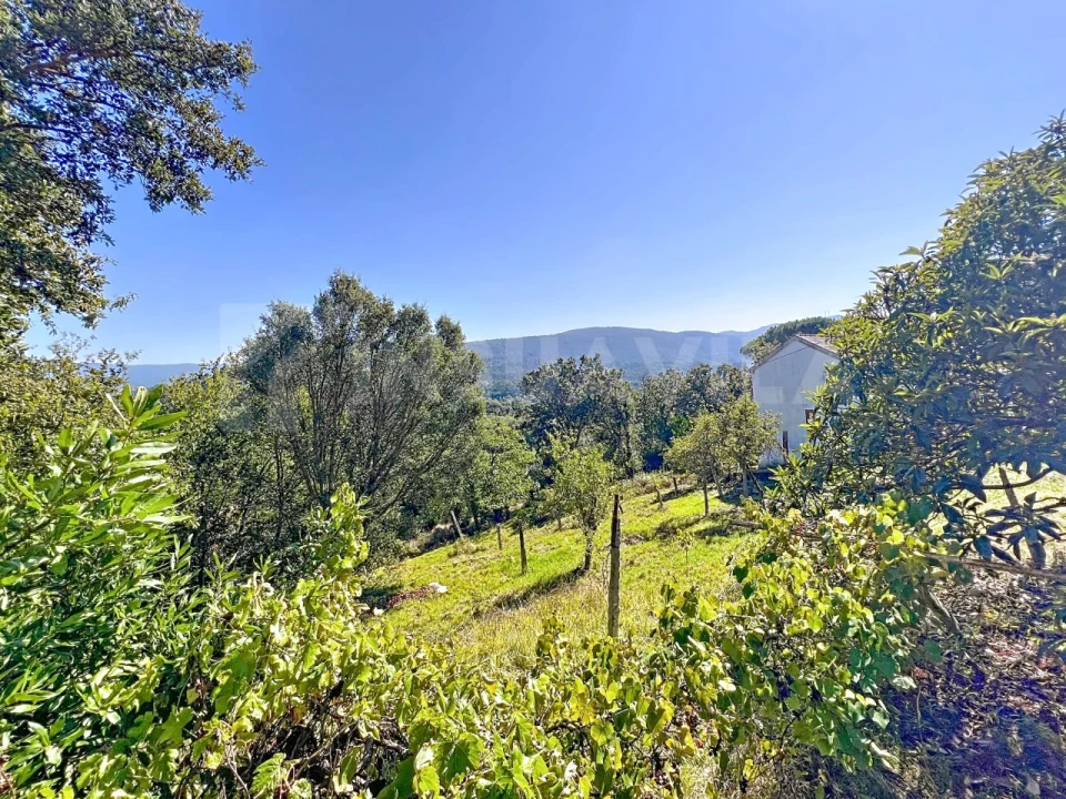 Moradia T4 para Venda em Vilar de Mouros Foto 24