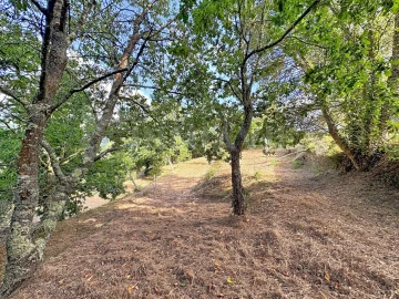 Moradia T4 para Venda em Vilar de Mouros