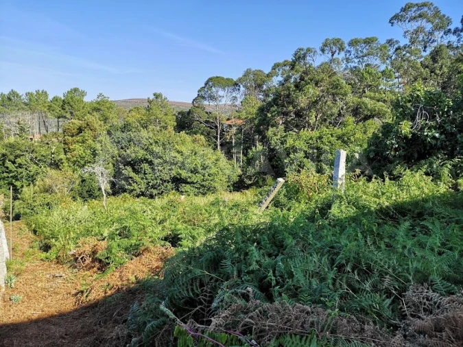 Moradia T2 para Venda em Venade e Azevedo Foto 7