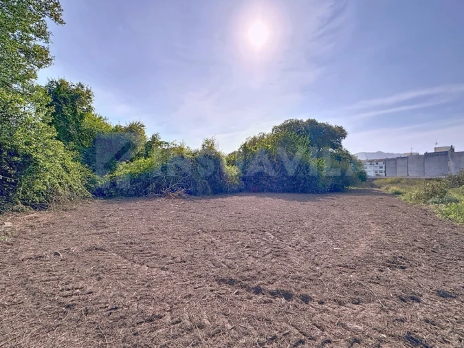 Terreno para Venda em Seixas Foto 7