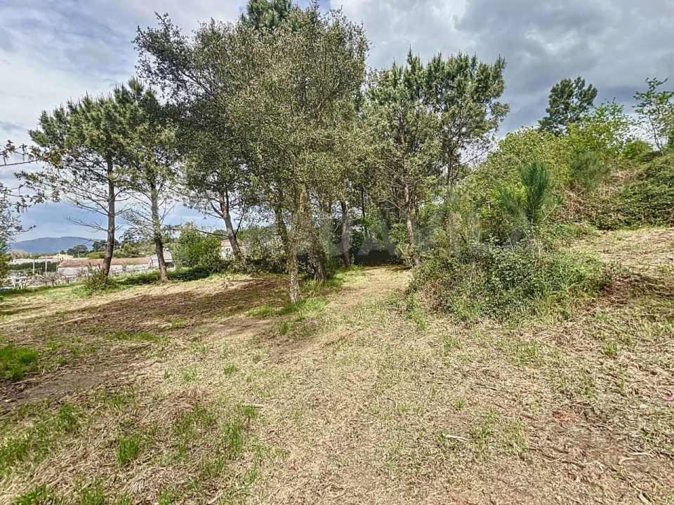 Terreno para Venda em Seixas Foto 6