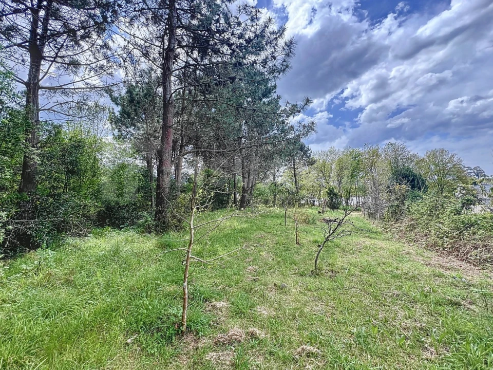 Terreno para Venda em Seixas Foto 9