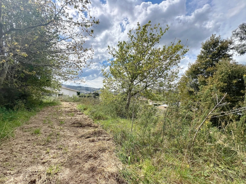 Terreno para Venda em Seixas Foto 13