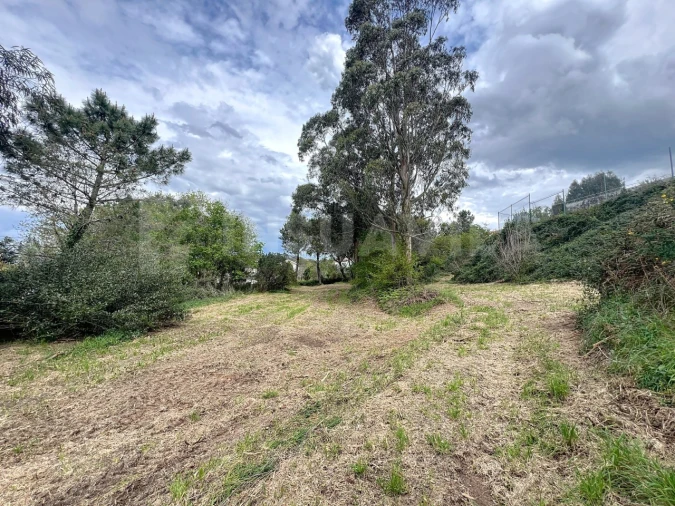 Terreno para Venda em Seixas Foto 4
