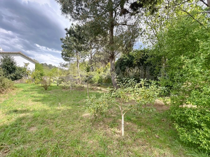 Terreno para Venda em Seixas Foto 8