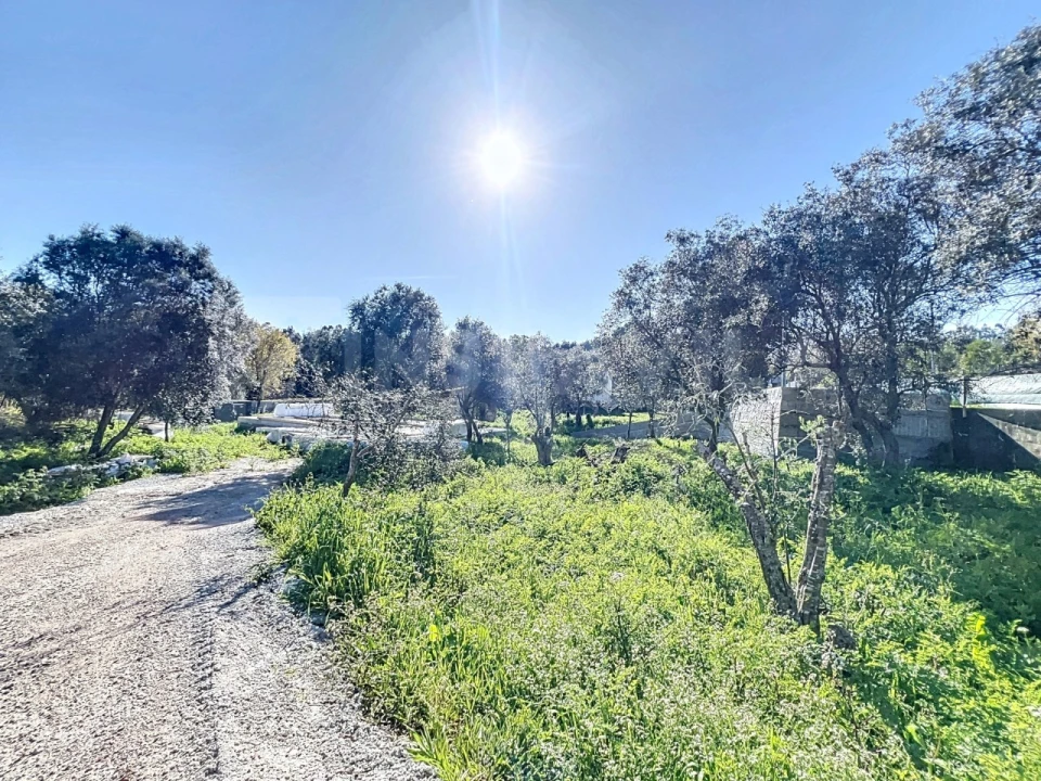 Moradia T3 para Venda em Vilar de Mouros Foto 14