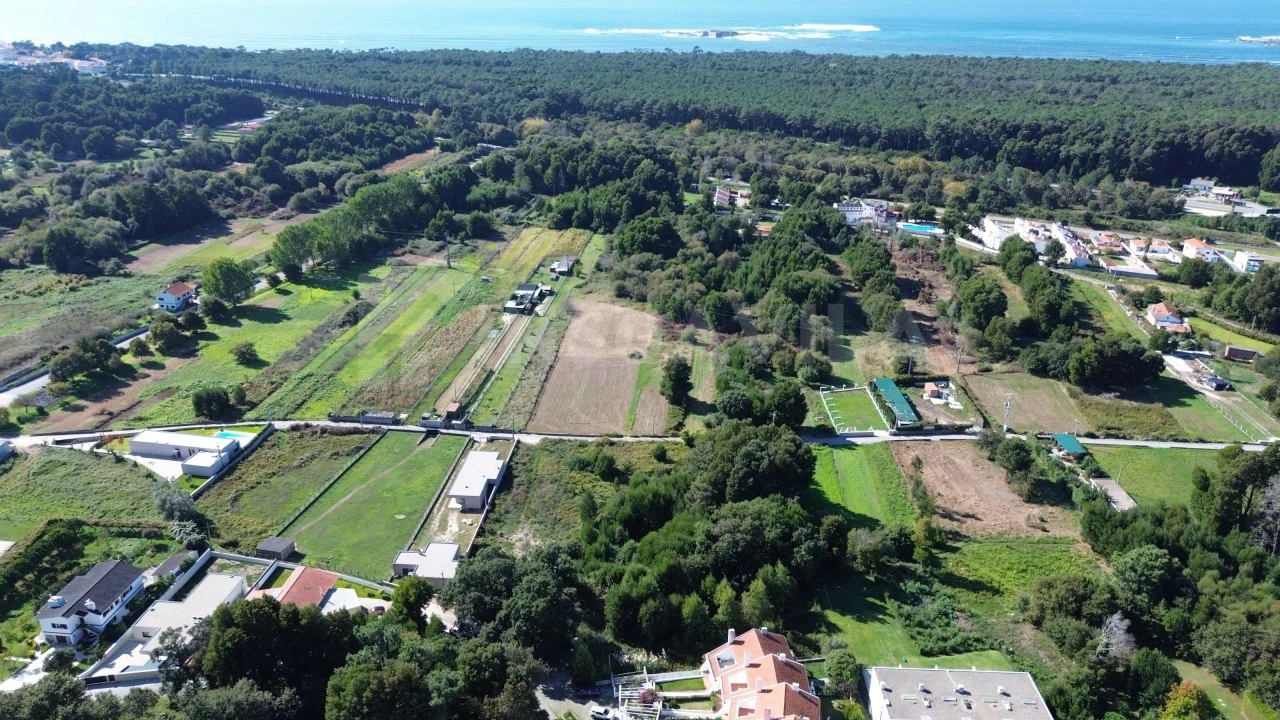 Terreno para Venda em Moledo e Cristelo Foto 3