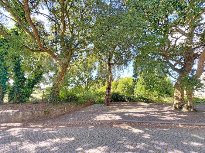 Terreno para Venda em Moledo e Cristelo Foto 8