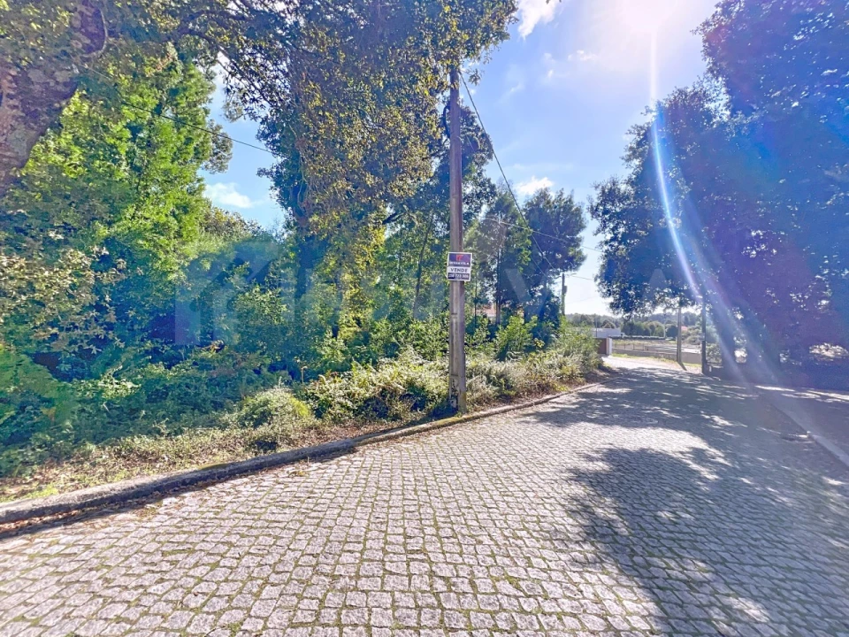 Terreno para Venda em Moledo e Cristelo Foto 5