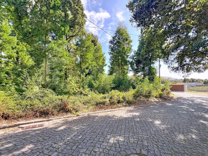 Terreno para Venda em Moledo e Cristelo Foto 6