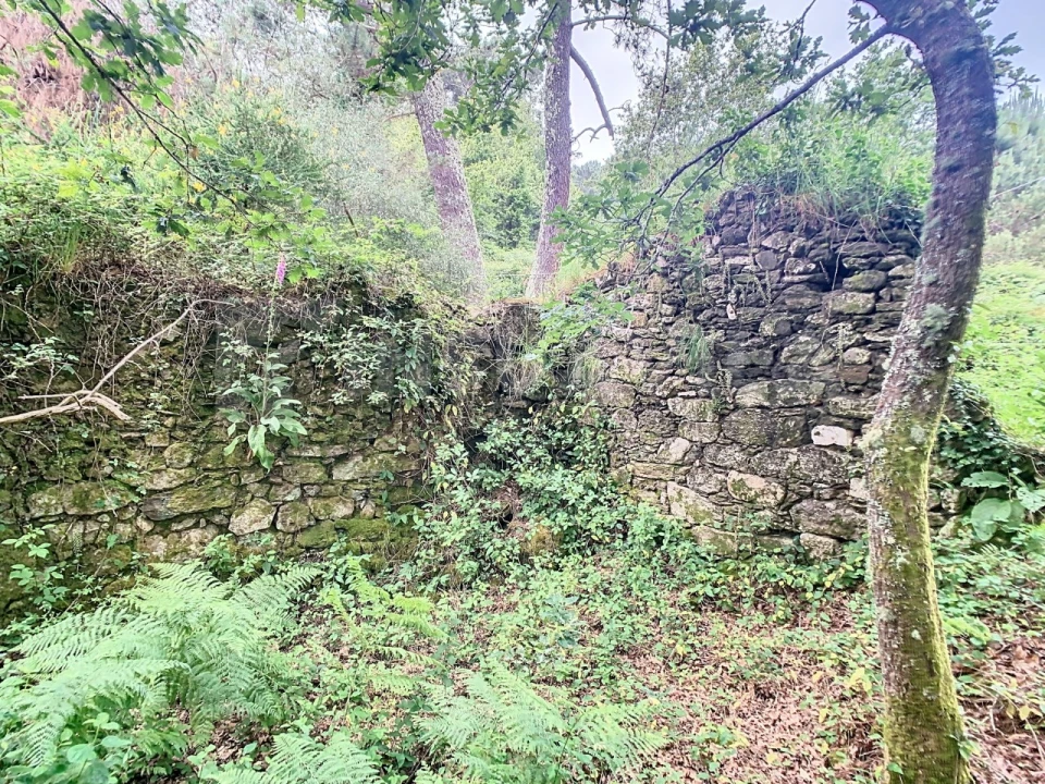 Moradia T1 para Venda em Candemil e Gondar Foto 16