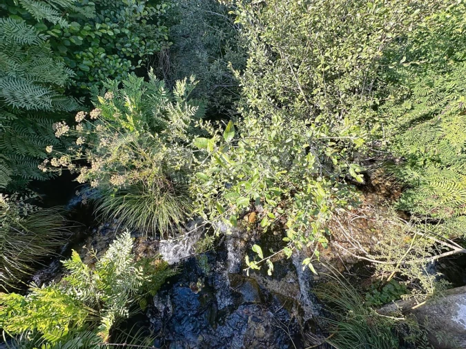 Moradia T3 para Venda em Vila Praia de Ancora Foto 39