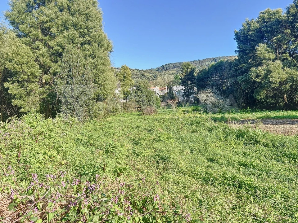 Terreno para Venda em Moledo e Cristelo Foto 7