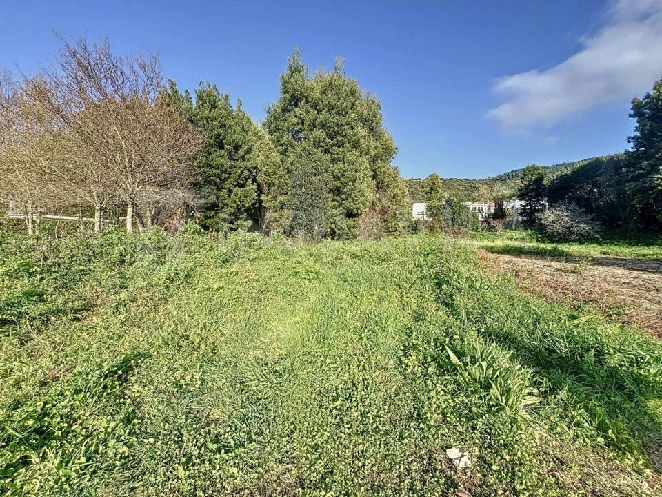 Terreno para Venda em Moledo e Cristelo Foto 9