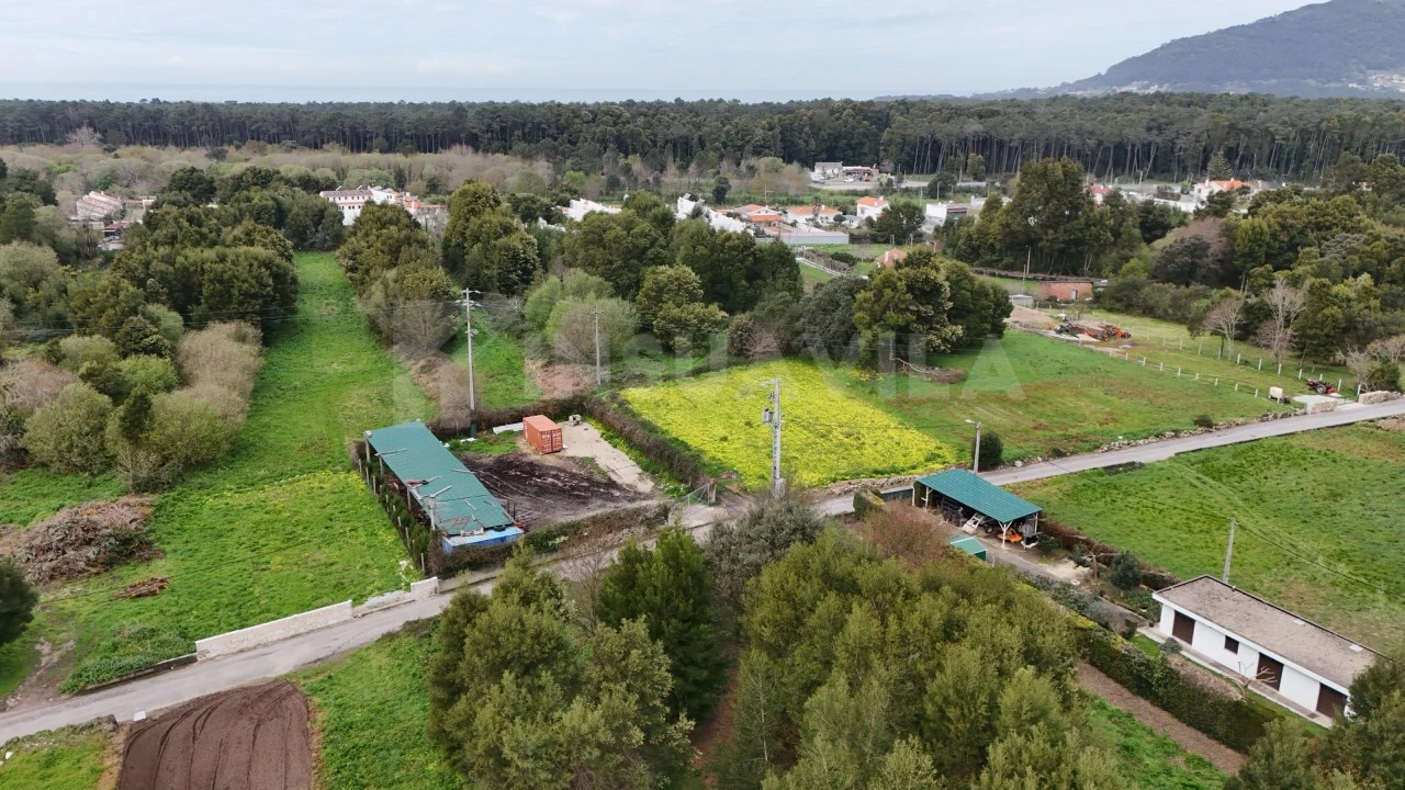 Terreno para Venda em Moledo e Cristelo Foto 1