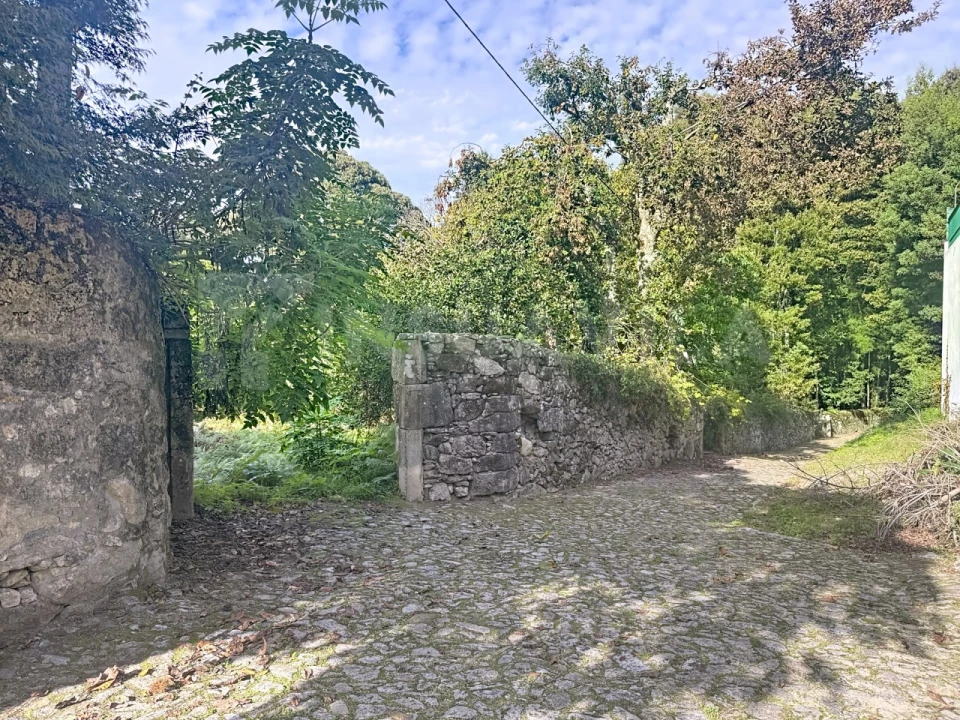Terreno para Venda em Moledo e Cristelo Foto 1