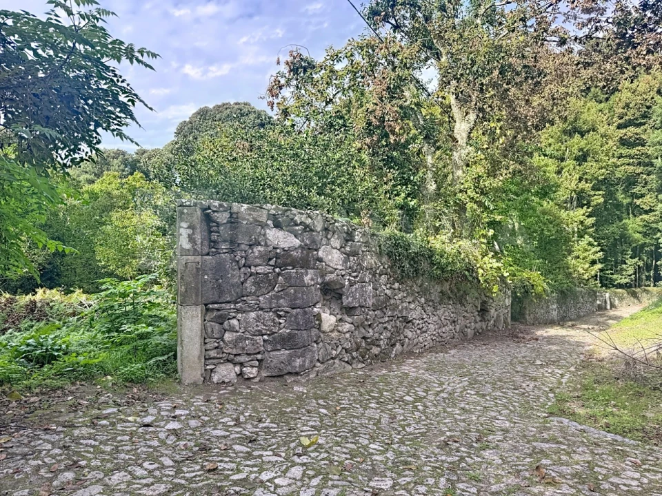 Terreno para Venda em Moledo e Cristelo Foto 3