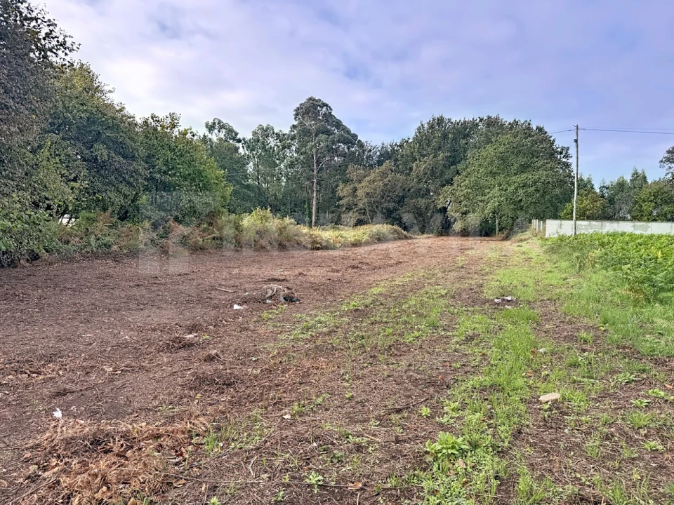 Terreno para Venda em Seixas Foto 7
