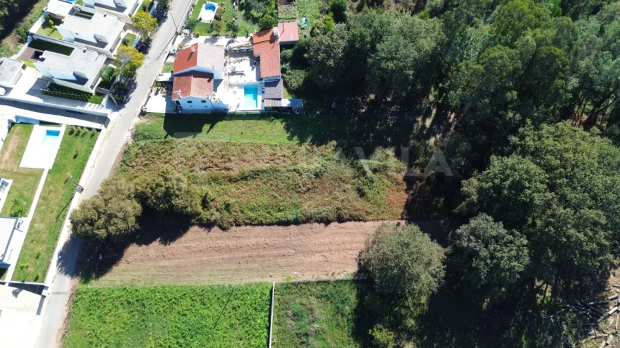 Terreno para Venda em Seixas Foto 3