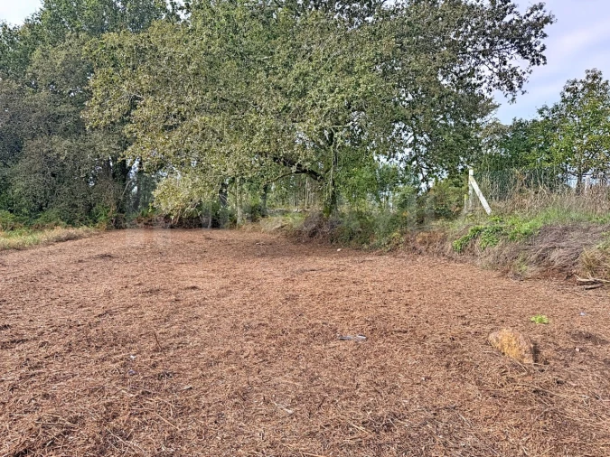 Terreno para Venda em Seixas Foto 10