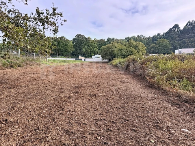 Terreno para Venda em Seixas Foto 11
