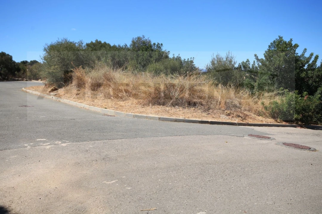 Terreno para Venda em Algoz e Tunes Foto 3