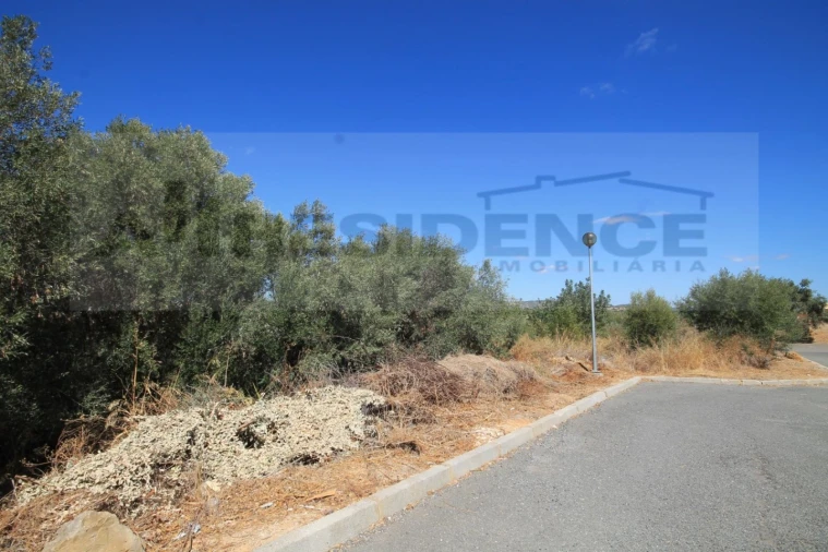 Terreno para Venda em Algoz e Tunes Foto 5