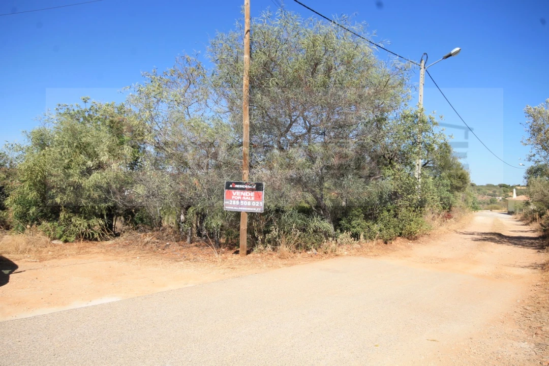 Terreno para Venda em Ferreiras Foto 4