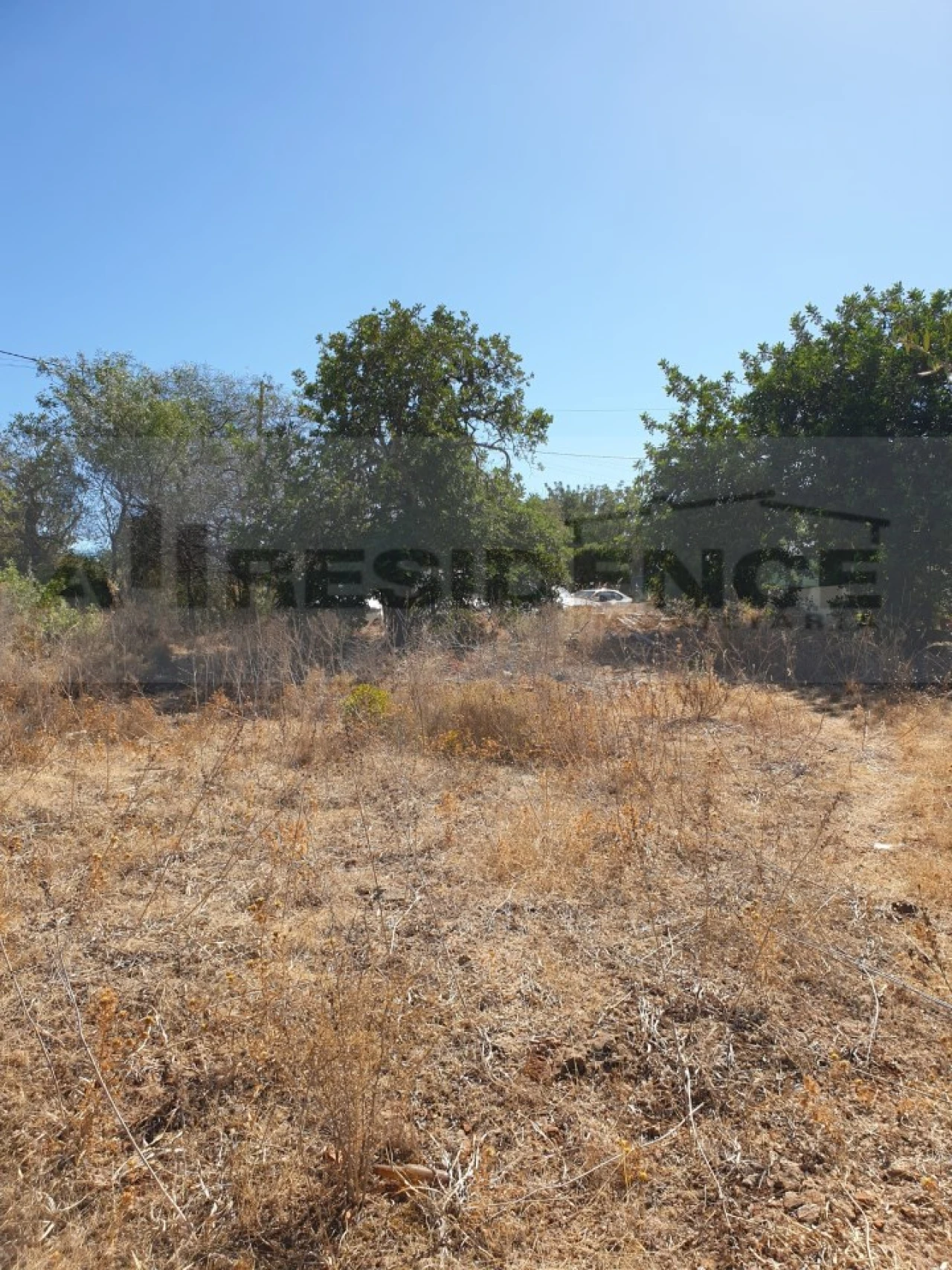 Terreno para Venda em Ferreiras Foto 6