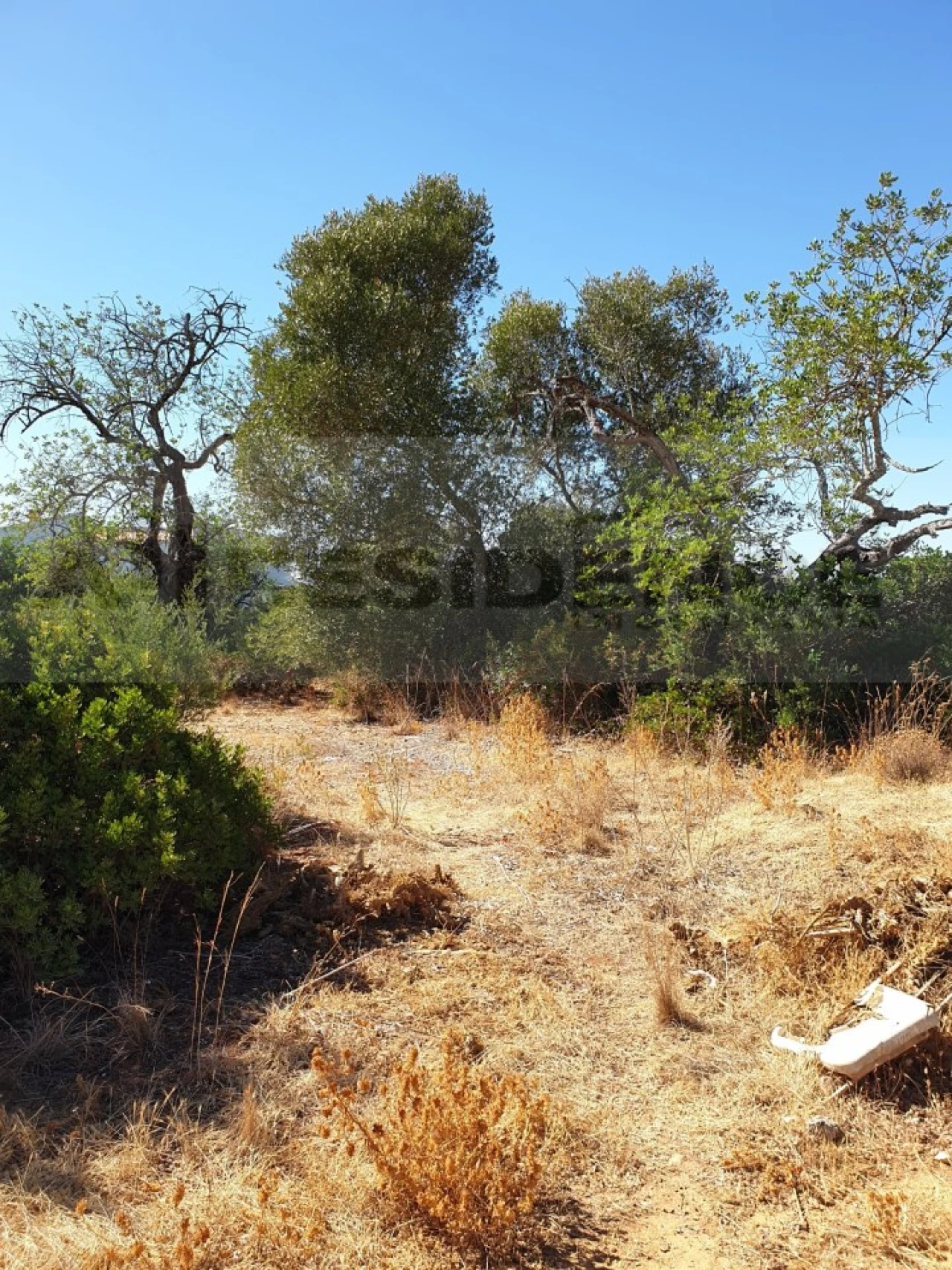 Terreno para Venda em Ferreiras Foto 7