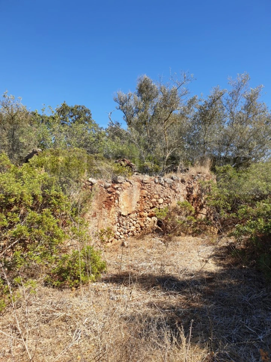 Terreno para Venda em Ferreiras Foto 2