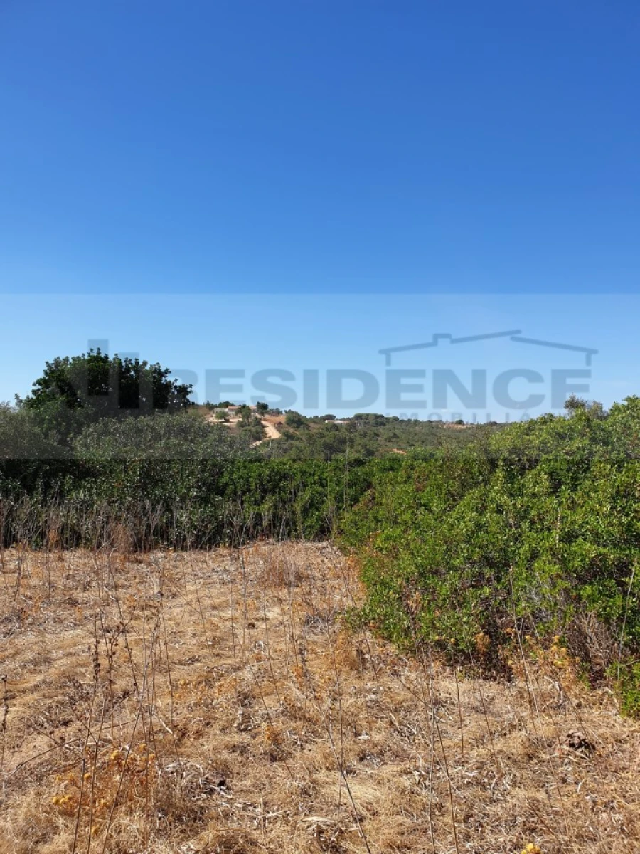 Terreno para Venda em Ferreiras Foto 5