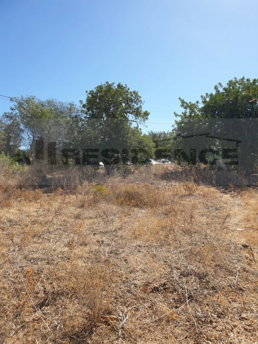 Terreno para Venda em Ferreiras Foto 6