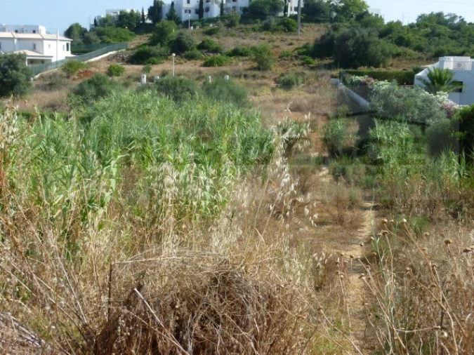 Terreno para Venda em Albufeira e Olhos de Água Foto 5