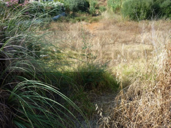 Terreno para Venda em Albufeira e Olhos de Água Foto 6