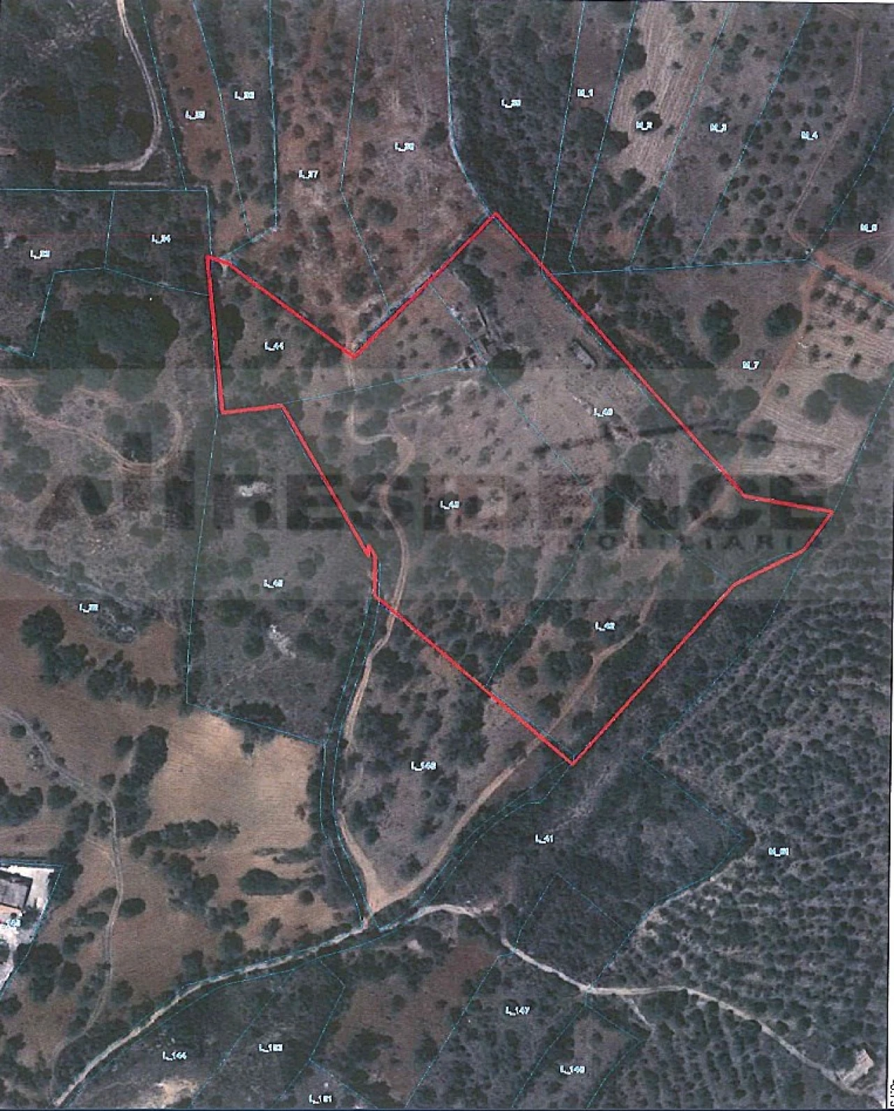 Terreno para Venda em Ferreiras Foto 5