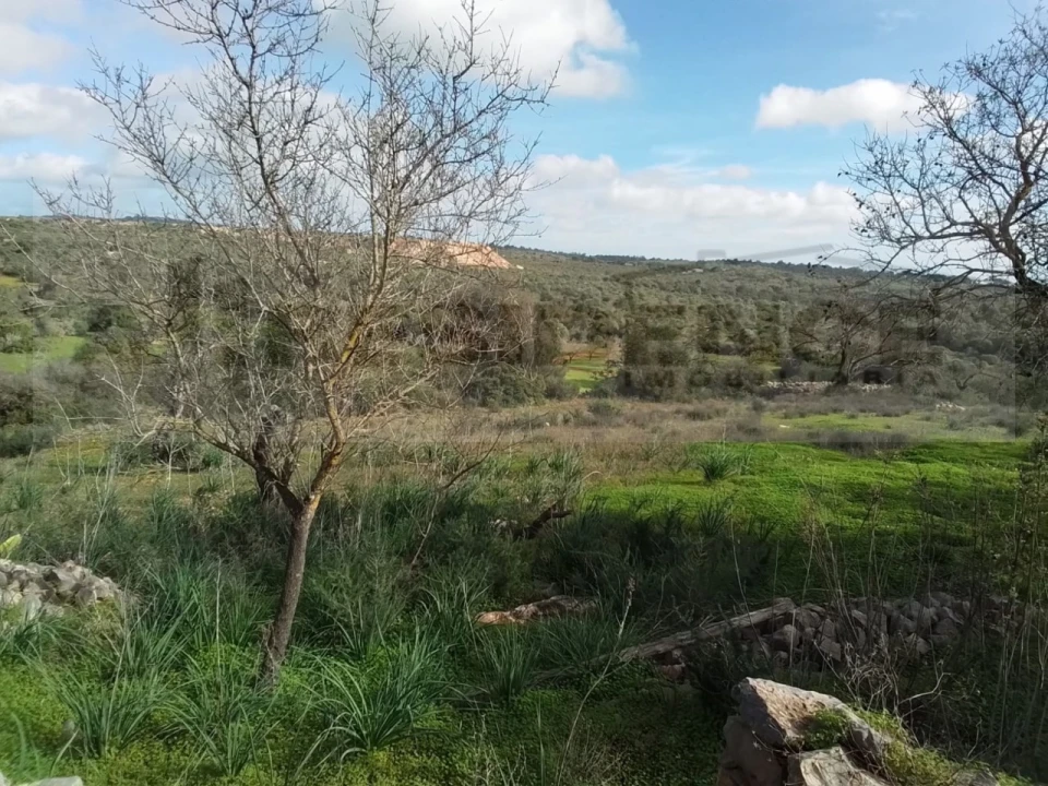 Terreno para Venda em Ferreiras Foto 10